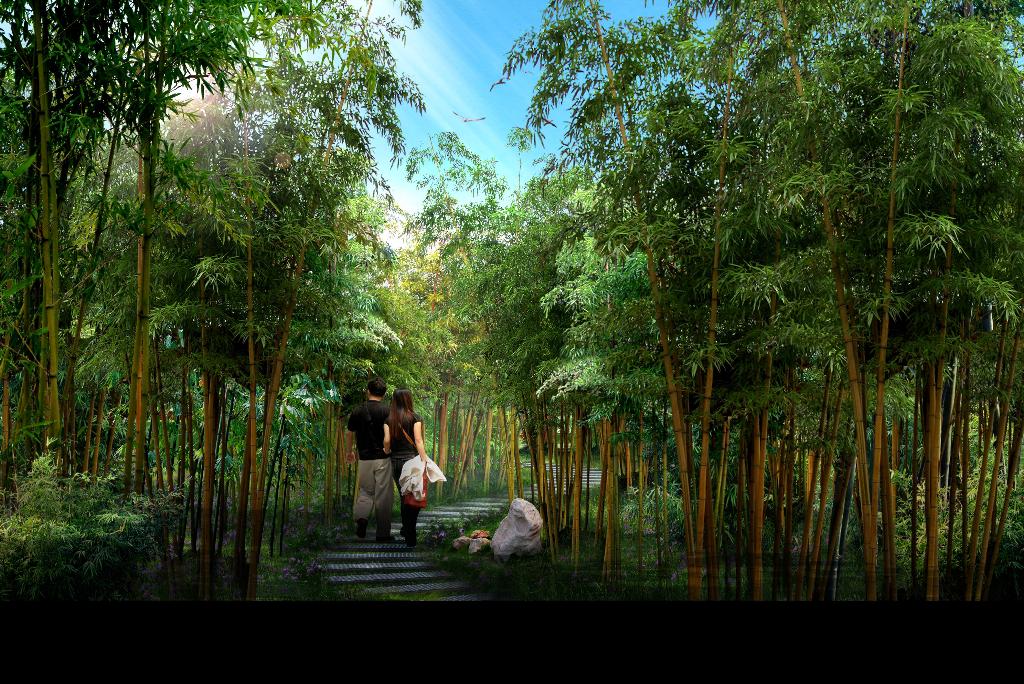竹林公园景观设计http://ydyl.hnydyl.com/