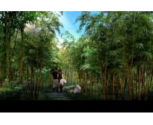 竹林公园景观设计