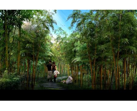 河南竹林公园景观设计公司