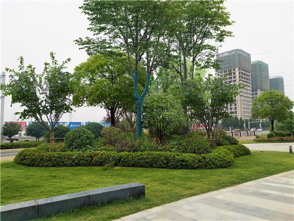 郑州景观设计公司甲级资质