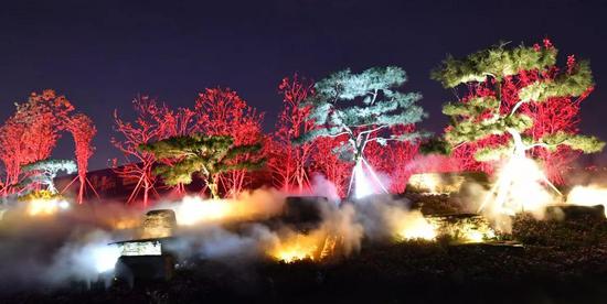 ▲夜晚侯寨站郑尧高速流光溢色的“迎宾门户”生态景观