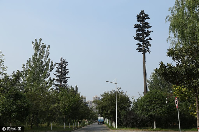 郑州通讯信号塔酷似苍天大树配合附近景观设计