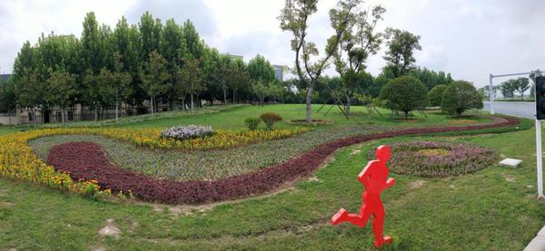 郑州航空港区打造55处绿化景观,栽植49万株花草