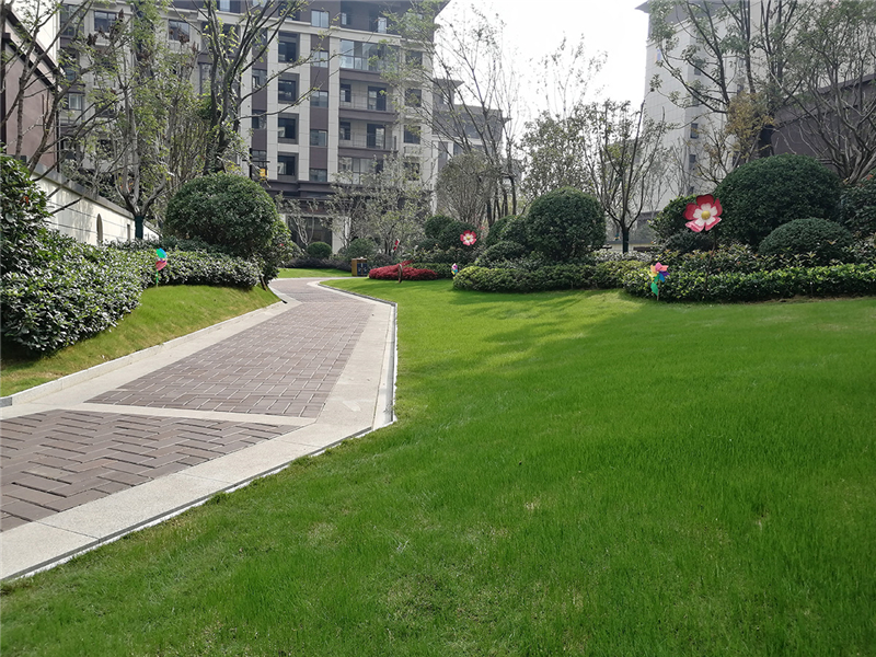 河南郑州春季园林景观绿化补植是重要内容