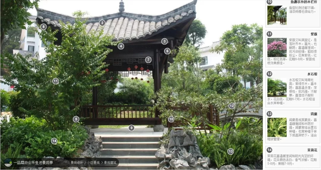 郑州景观设计公司说说规则式的小庭院植物设计
