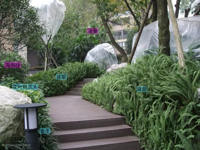 河南郑州园林绿化工程施工五大细节