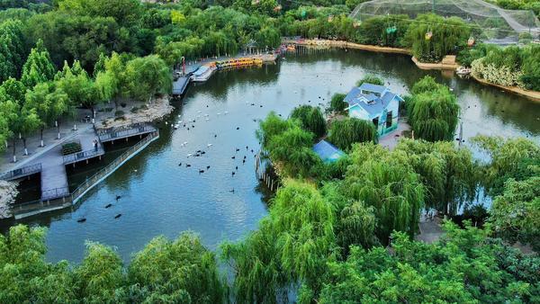 变化中的郑州市动物园园林景观既有颜值又有文化